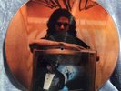 The Doors Jim Morrison Scarce Fan Club Issued Picture Disc The End NM Diecut slv