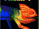 LP:Frumpy,All Will Be Changed(ORIG. GIMMICK COVER)[NM] (Philips)