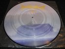BORKNAGAR Borknagar self-titled picture disc