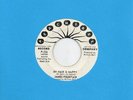 JAMES FOUNTAIN my hair is nappy/ burning up PEACHTREE dj funk soul 45 *Listen*