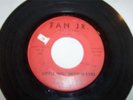 Vilas Craig - Rock 45 - Little Miss Brown Eyes / Poor Loser - Madison WI Fan Jr.