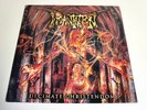 INCANTATION-DECIMATE CHRISTENDOM-LP/VINYL