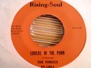 THE FIDELICS Lovers In the Park 45  SWEET SOUL NORTHERN Rising Soul HEAR
