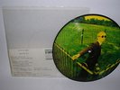 THE DIVINE COMEDY - Indulgence No. 1  7