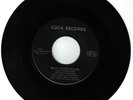 MULE SKINNER BLUES - FENDERMEN ON CUCA