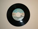 Thirteenth Floor Elevators - Tried to Hide/You're Gonna Miss Me (HBR Label)