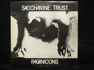 Saccharine Trust Pagan Icons Vinyl ORIG 1981 SST w/Insert kbd Punk Paganicons