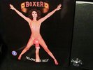  UK 1975 Uncensored  BOXER   BELOW THE BELT Hard MAY BLITZ & PATTO CATS