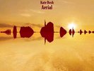 KATE BUSH - AERIAL - LP