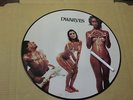 Dwarves – Blood Guts & Pussy LP PICTURE DISC Sub Pop 1990 #0070/1500 only sexy