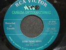 THE DUCATS  NFLD CANADIAN GARAGE BAND 45