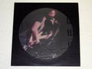 GRATEFUL DEAD Live At The Felt Forum LP PICTURE Disc LIMITED Edition Rare OOP