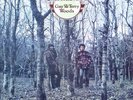 GAY AND TERRY WOODS / BACKWOODS / UK LP / COND NR MINT