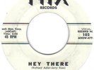 RARE R&B DOO-WOP     THE TWILITERS    HEY THERE  /  CAUSED BY YOU     NIX