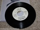 Stevie Ray Vaughan 7