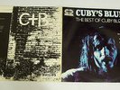 CUBY'S BLUES BEST OF CUBY & BLIZZARDS HARRY MUSKEE PHILIPS ORIGINAL 2 LP