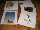 Coil The Ape Of Naples / The New Backwards 4 LP Box