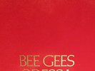 2LP M- 1969 THE BEE GEES   ODESSA   UK POPSIKE psych
