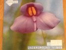 DJ CAM - Underground Vibes Vinyl LP 1997 MO'WAX