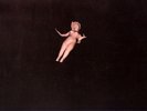JULEE CRUISE FLOATING INTO THE NIGHT GERMAN