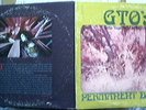 G.T.O.’S(GIRLS TOGETHER OUTRAGEOUSLY):Permanent Damage-U.S. 12