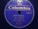 Columbia 3035-D Phil Regan Mahlon Merrick Muchacha Call You My Royal Blue Pop 78