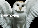 DEFTONES 