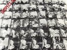STIFF LITTLE FINGERS *SUSPECT DEVICE* RIGID DIGITS 1978 PUNK