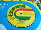 Pablo Gad FLY AWAY HOME Greensleeves 12