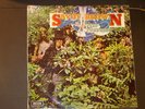 SAVOY BROWN  