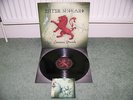 Enter Shikari - Common Dreads(UK 2009 VINYL ALBUM / EX+ VINYL / 2ND ALBUM)