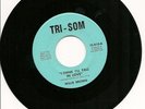 WILLIE BROWN .. FUNKY SOUL 45 VIRGINIA LABEL .. I Think I'll Fall In Love