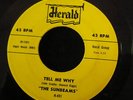 HEAR IT RARE JUMP R&B The Sunbeams Herald 451 Tell Me Why and Come Back Baby