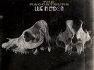 Third Man Records Vault Package 2 THE RACONTEURS Live 12