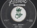 JOEY GILLS  HEY MEON COUNTRY ROCKABILLY CAJUN BOPPER 45 RPM RECORD LISTEN