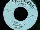 UNIVERSALS   1962 Hollywood doo wop 45 on SHEPHERD. EX. LISTEN 