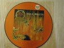 SLAYER-HELL AWAITS LIMITED EDITION PICTURE DISC #2050 BLACK THRASH METAL