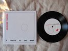 Beach Fossils/Wild Nothing/Gruesome Flowers/The Wake
