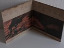 ?CRIPPLED BLACK PHOENIX A LOVE OF SHARED DISASTERS VINYL DLP, PINK FLOYD, TOOL?