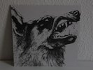 ?CRIPPLED BLACK PHOENIX I VIGILANTE WEISSES VINYL, PINK FLOYD, MOGWAI, ISIS?
