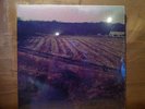 The Wonder Years, Polar Bear Club, Transit, Story So Far, Glamour Kills Vinyl