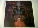 Dismember – Like An Ever Flowing Stream – Vinyl LP 1991
