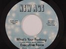 70s Soul 45 EXECUTIVE FORCE What's Your Fantasy on New Age