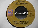 *listen* RARE NORTHERN  Sam Ambrose 