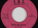 Funk 45 THE KATS Under The Covers E&C HEAR