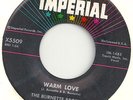The Burnette Brothers - Warm love          Rockabilly 7