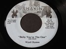 Wynd Chymes   Baby You're the One   Shakin'   modern soul / boogie 45 HEAR