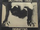 Saccharine Trust-Pagan Icons EP-SST Records-1981