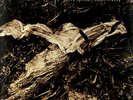 LP Schallplatte David Sylvian & Holger Czukay *Plight & Premonition*
