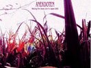 ANEKDOTEN: Waking the dead, Live in Japan 2005; Virta DLP 001 FOC 2LP RAR Neu